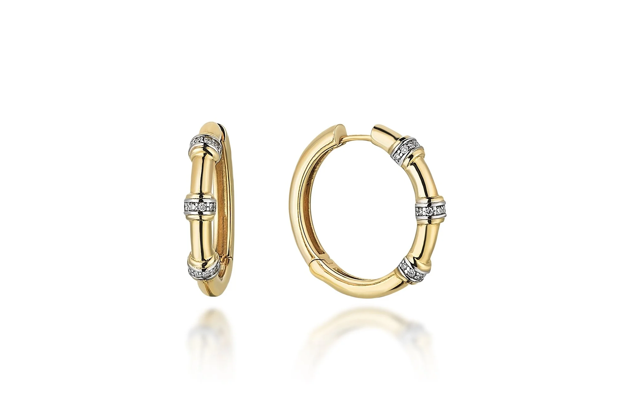 Insula Bone Earrings - 2