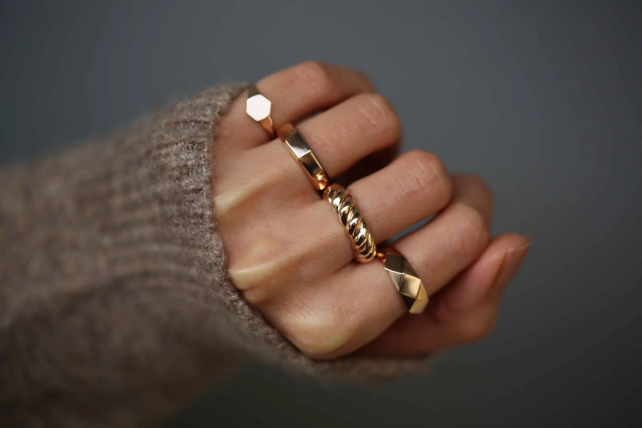 Sir Mon Cher Rose - 3