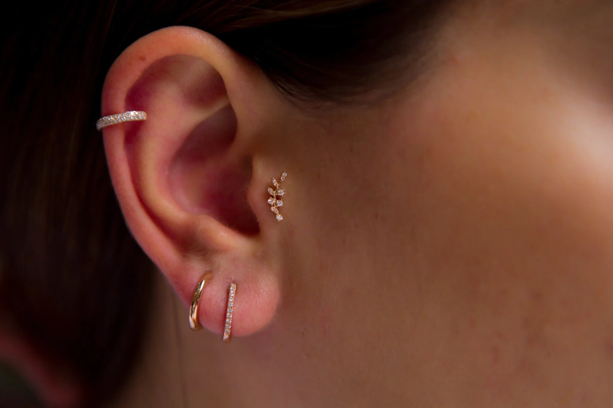 Dal Pırlanta Tragus - 1