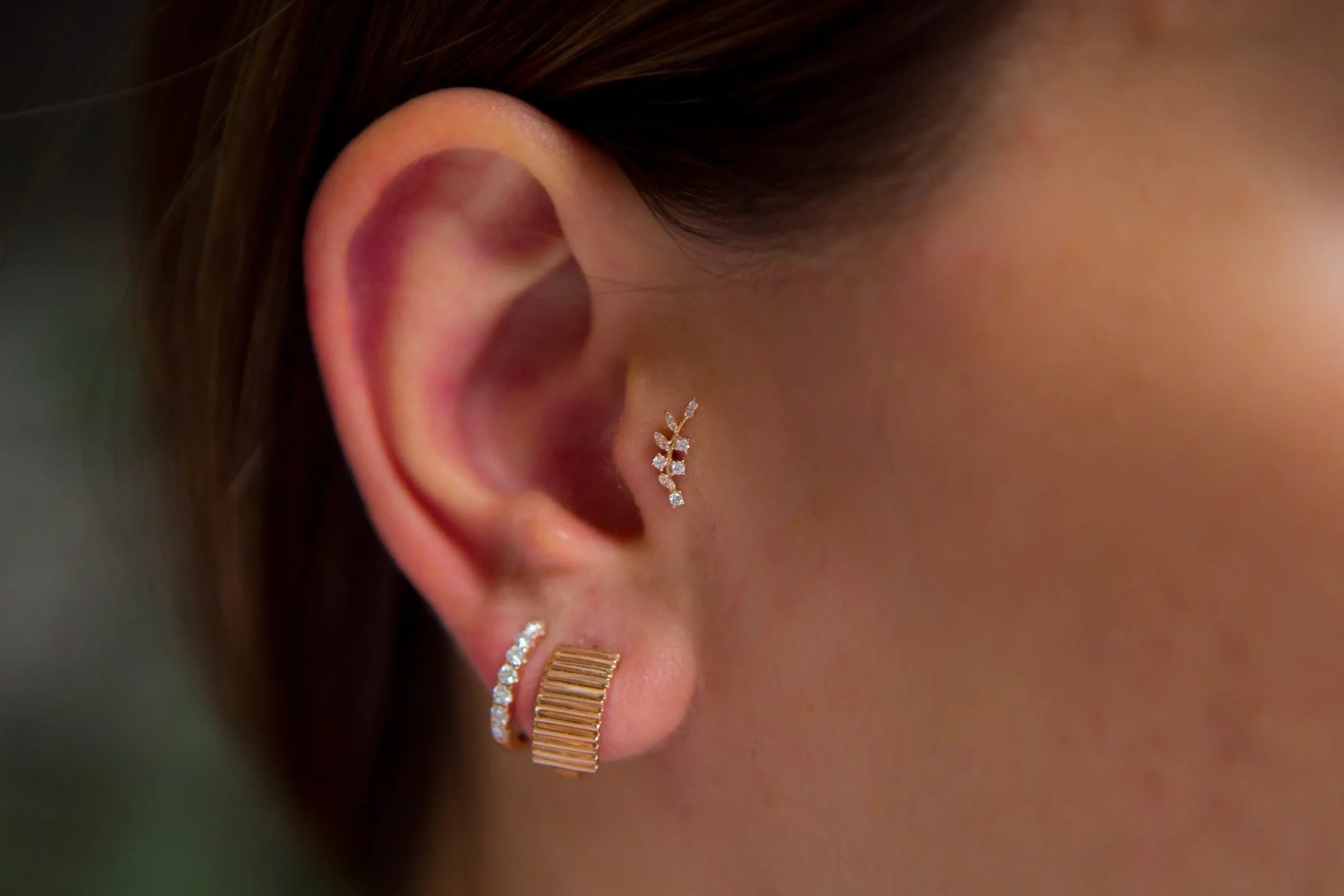 Dal Pırlanta Tragus - 3