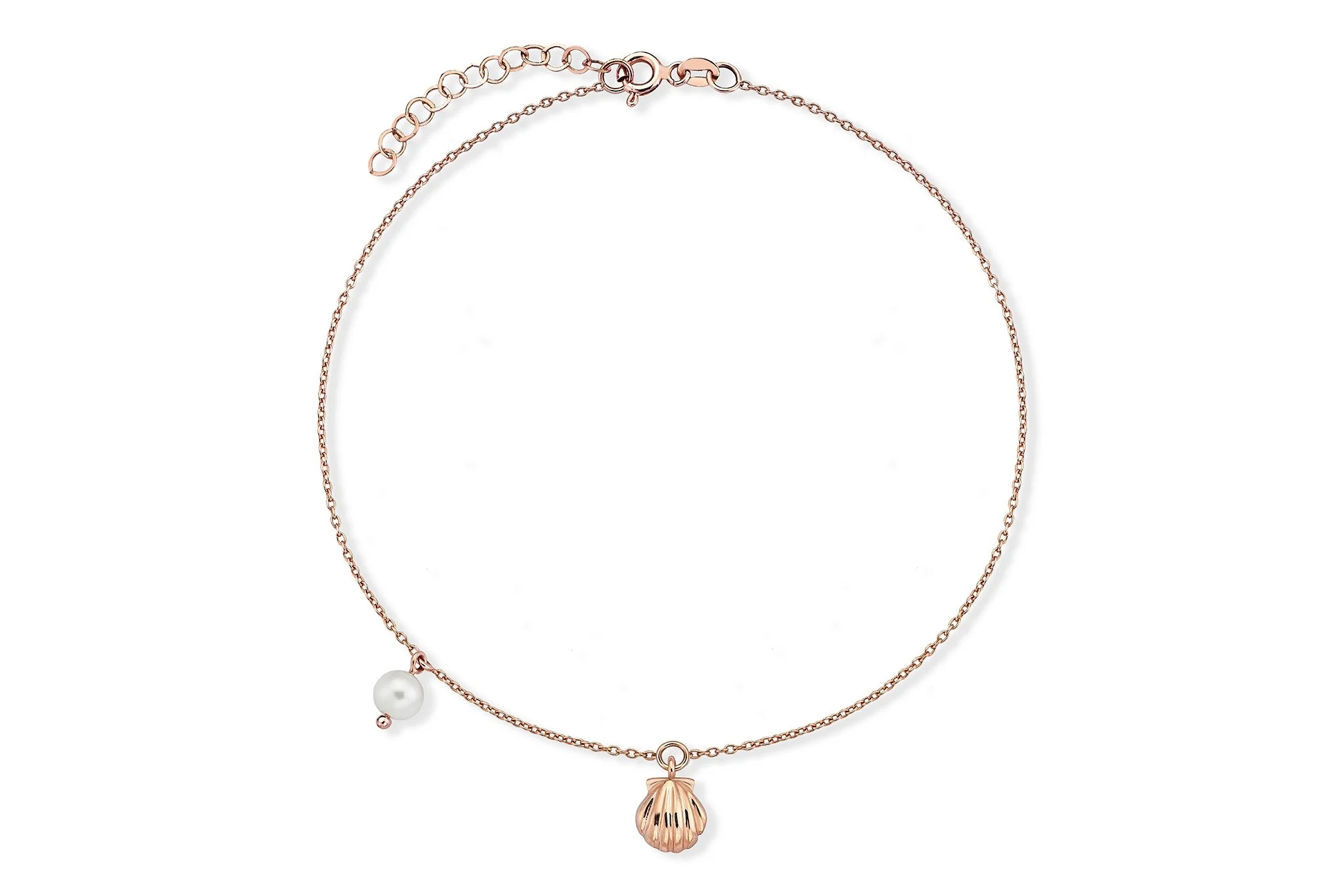 Deniz Kabuğu Hal Hal - 2