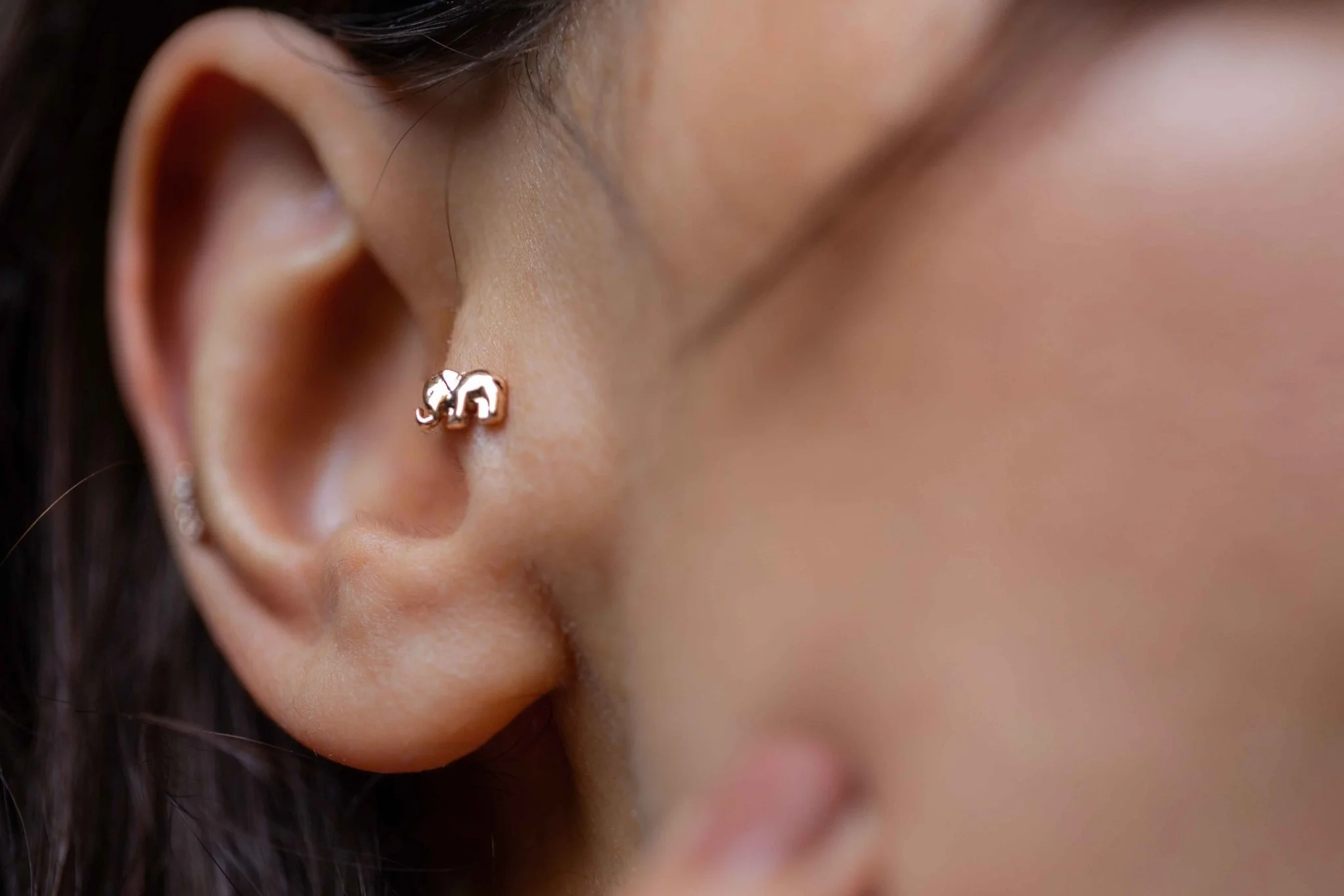 Fil Tragus - 1