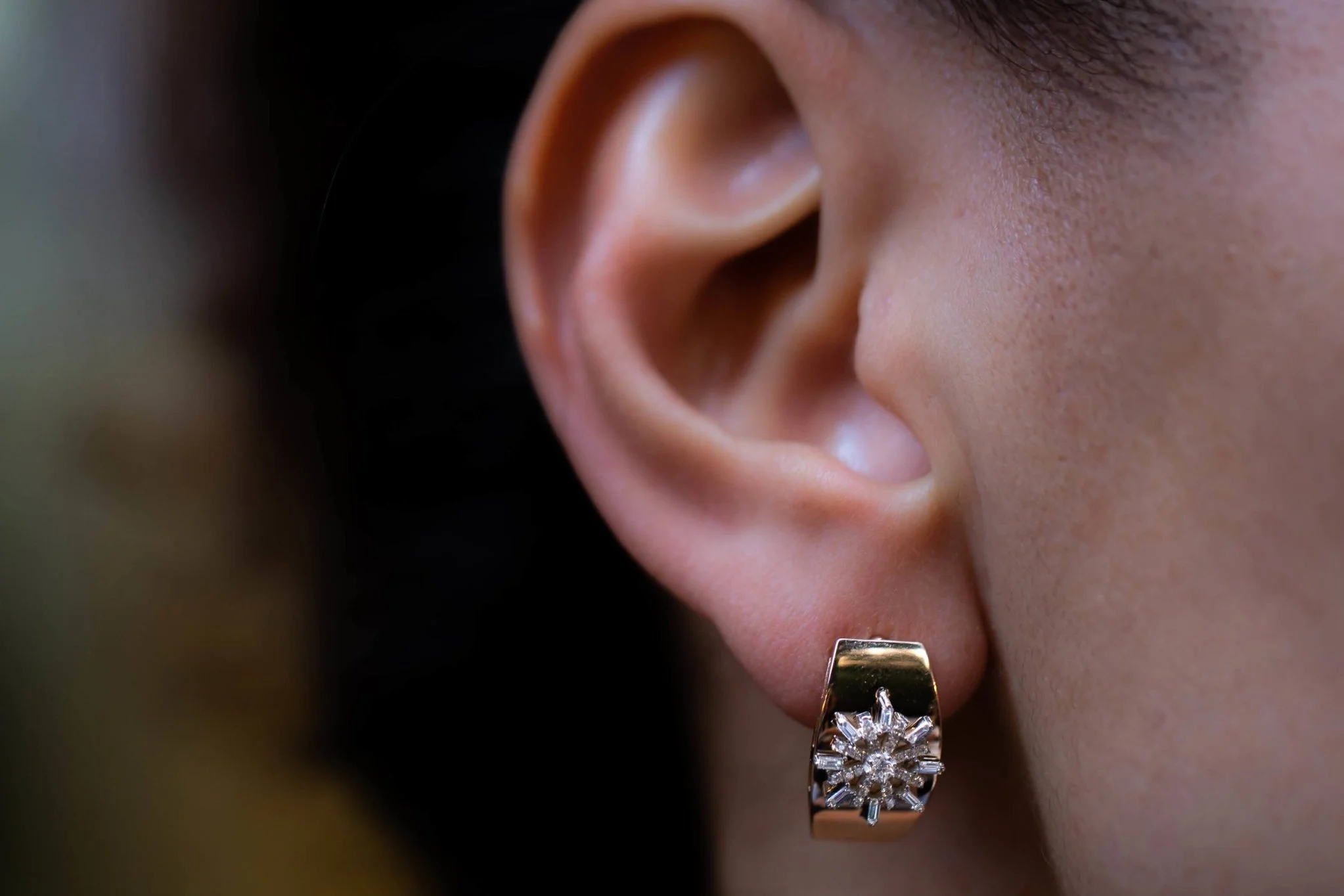 Grande North Earrings - 2