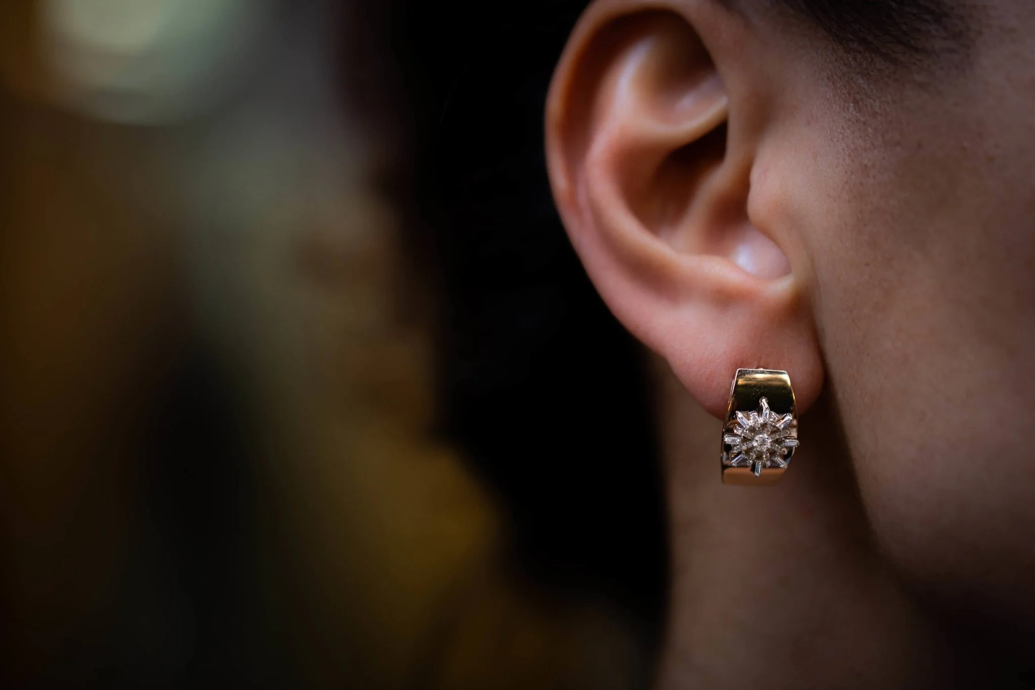 Grande North Earrings - 1