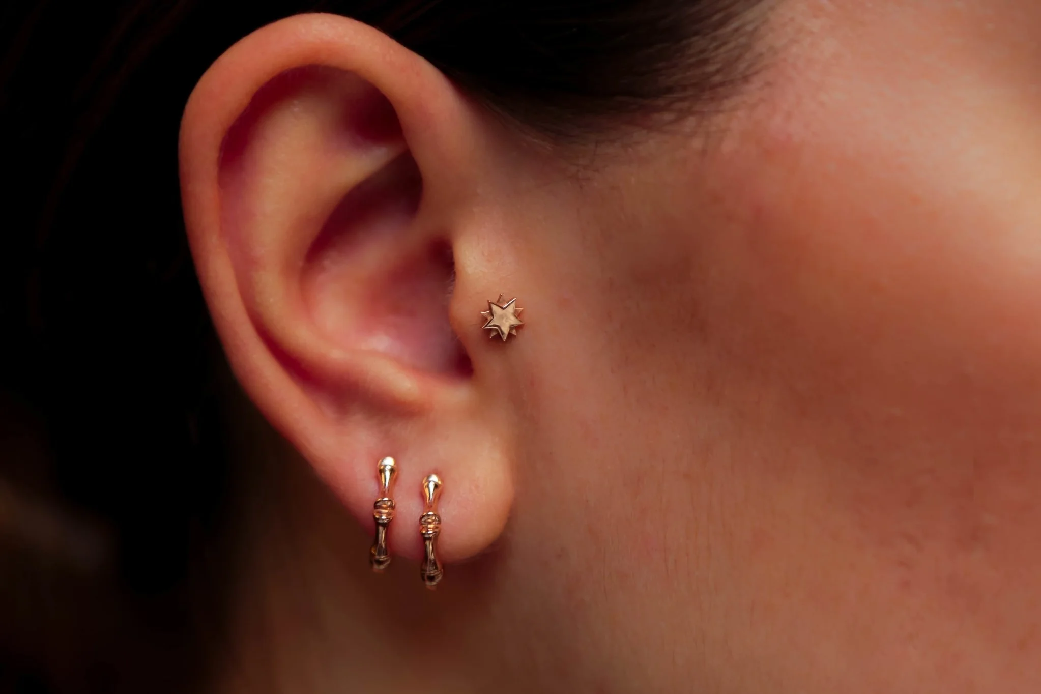 Kutup Yıldızı Tragus - 1