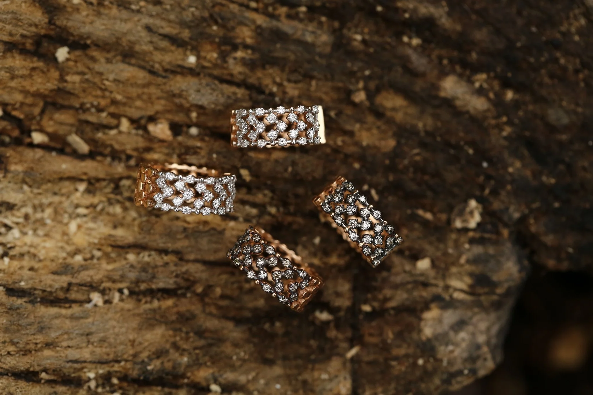 Loure Shine Earring - 3