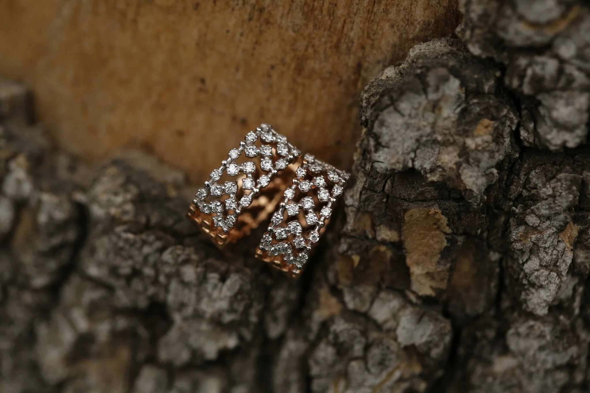 Loure Shine Earring - 4