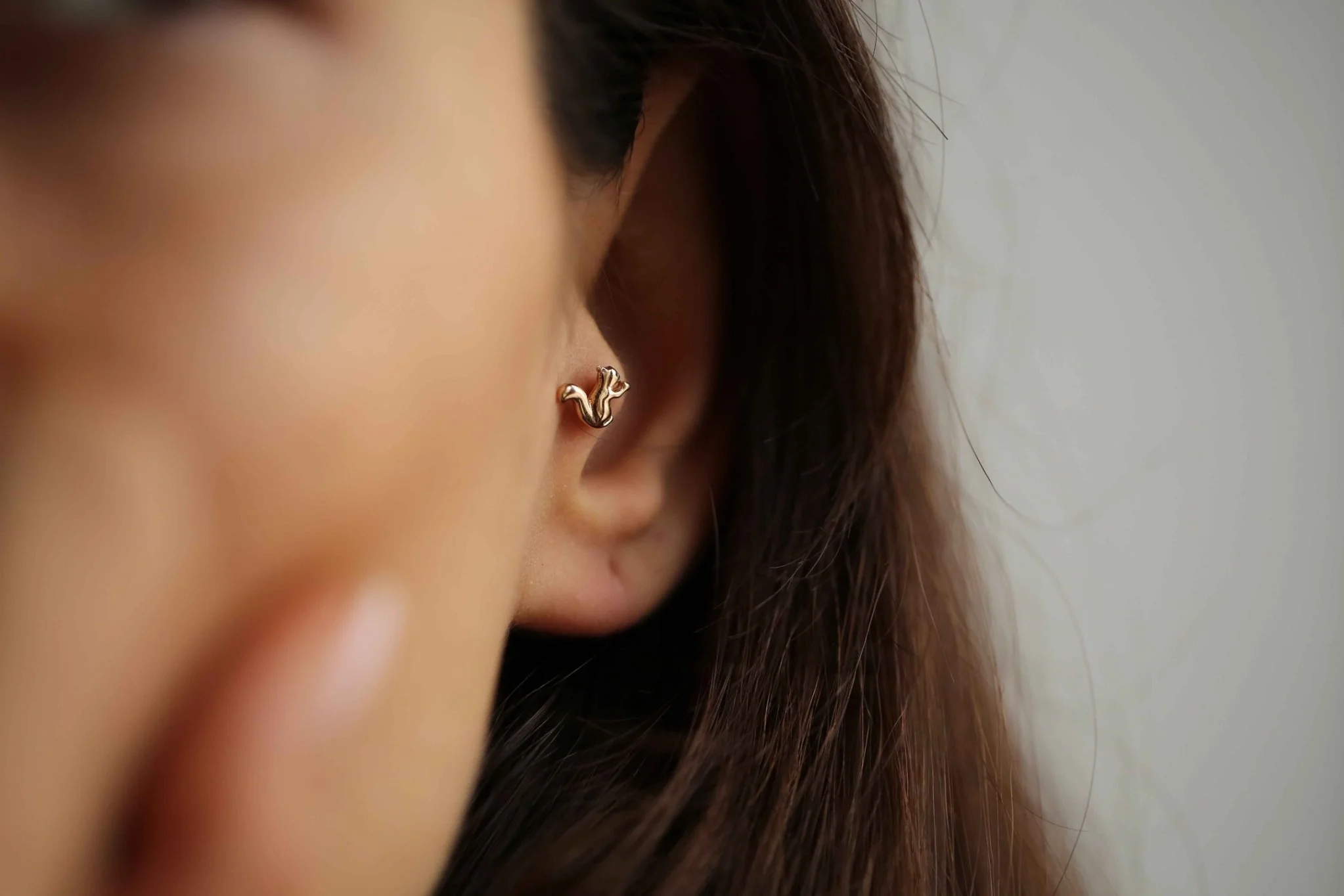 Sincap Tragus - 4