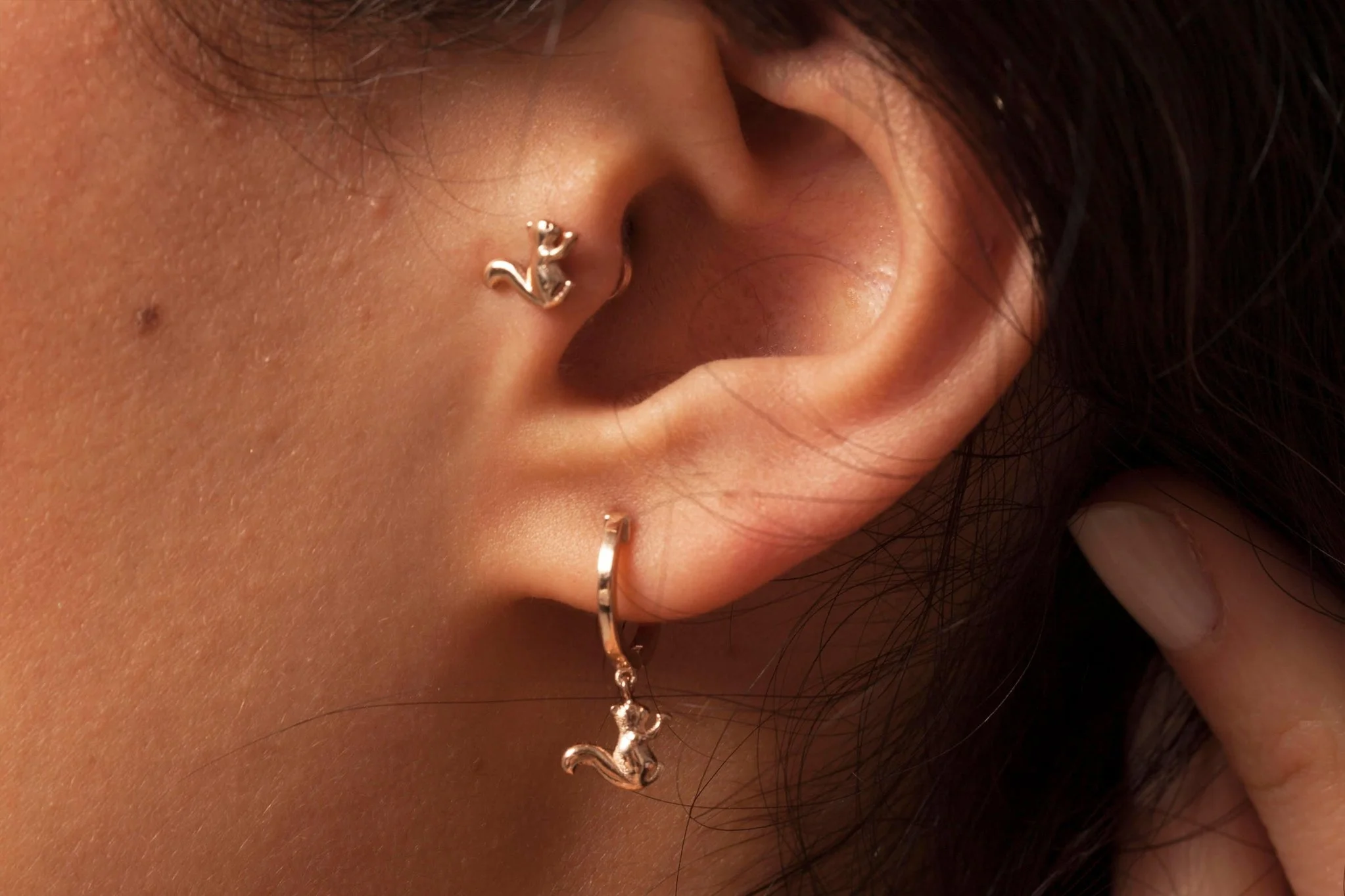 Sincap Tragus - 5