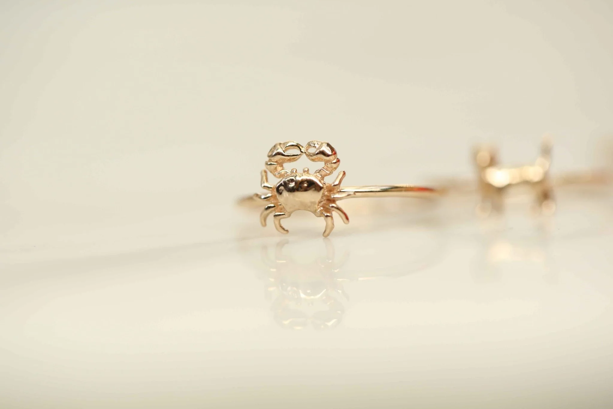 The Crab Ring - 1
