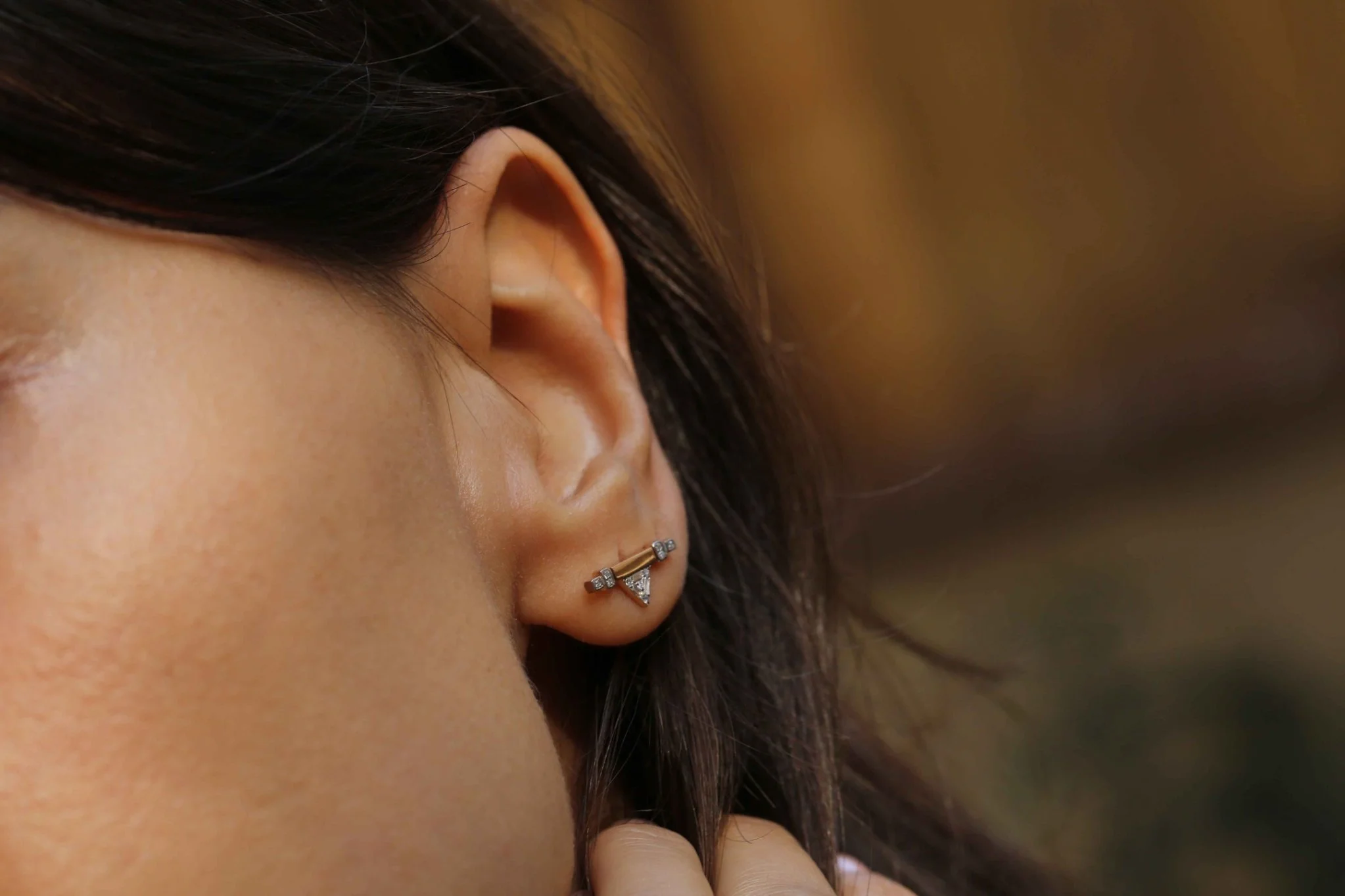 Ubuntu Üçgeni 1.0 - 3