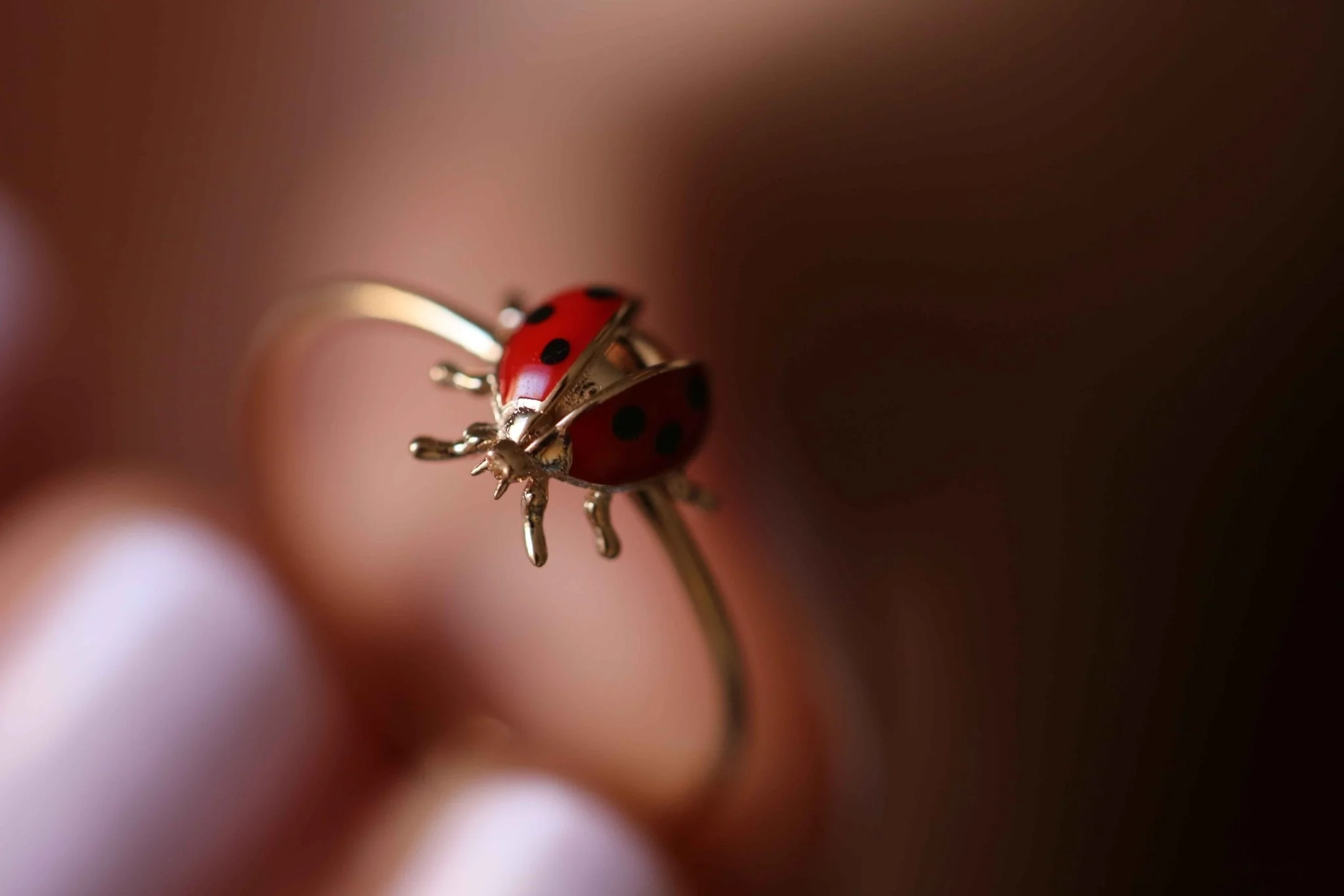 Uç Uç Böceği Yüzük - 4