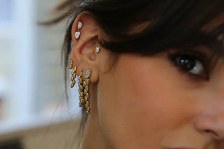 Track Tragus (2)